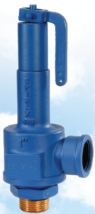 SPIRAX Marshall Safety Valve Cast Iron SV11